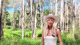 Up Close With Australias Mischievous Marsupials Discovers That Behind Every Soft Pa