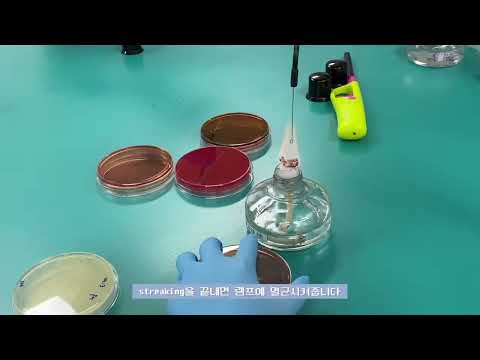 2022년 세명대학교 임상병리학과 3학년 세균학 및 실험 실습영상 - UNKNOWN TEST (1)