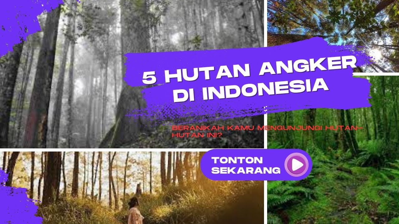 Angker 5 HUTAN ANGKER DI INDONESIA - YouTube