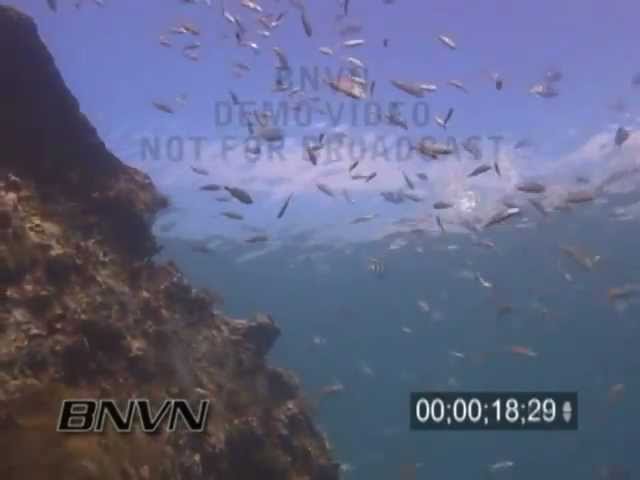 7/16/2004 Wreck Of The Windjammer Dry Tortugas Shipwreck