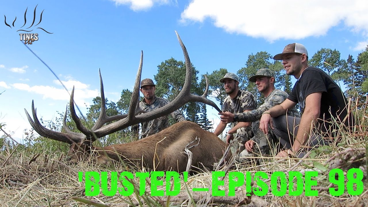 BUSTED TU Tuesday Episode 98 YouTube busted-tu-tuesday-episode-98-youtube