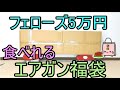フェローズ 5万円エアガン福袋 お腹も満たせる（法的に食品では無い）