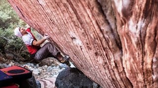 Sean Mccoll - Meadowlark Lemon - V14, 8B