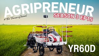 Agripreneur Season 3 Ep 15 : YR60D Ride-on Transplanter!