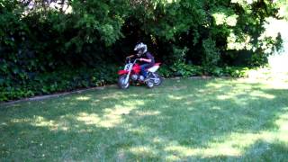 Noah's Honda CRF50 with training wheels