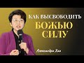 КАК ВЫСВОБОДИТЬ БОЖЬЮ СИЛУ / АЛЕКСАНДРА ХАН