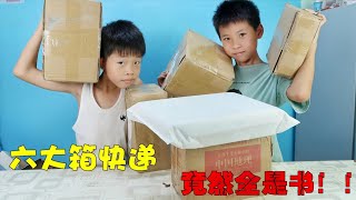 放暑假了,妈妈买六大箱书籍送孩子,兄弟俩会是什么反应呢 放暑假了,妈妈买六大箱书籍送孩子,兄弟俩会是什么反应呢