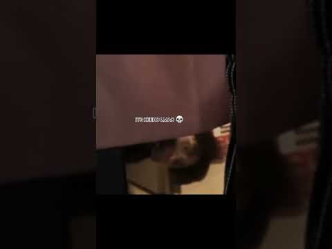 Ghost Caught On Camera While Idol Doing Vlive... P1Harmony