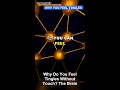 Why Do You Feel Tingles Without Touch? The Brain Science