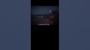 إِنَّكَ لَا تَهْدِي مَنْ أَحْبَبْتَ وَلَكِنَّ اللَّهَ يَهْدِي||تلاوة خاشعة بصوت الشيخ ياسر الدوسري💗🌿