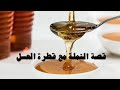 قصة النملة و قطرة العسل كيف يكون الإنغماس في ملذات الحياة سببا في الهلاك