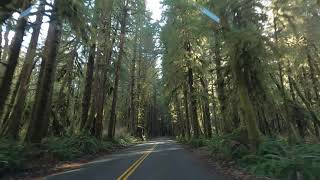 Driving on the Upper Hoh River Road to the Hoh River Rainforest Visitor Center | 4K Realtime Driving
