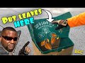 How to bag leaves fast and quick.  4 ways to get leaves off lawn
