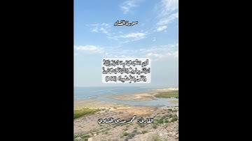سورة النساء ١٦٦ #قرآن #قرآن_كريم #قران #قران_كريم #قرأن #quran