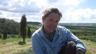 How to prune Woody Lavender: Top Tips!! - Lavender World