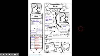 Latin Root Word Study Lesson Week 2