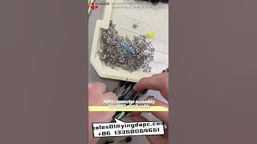 Polarity B 12 Fiber Optic MTP MPO APC Female to Male Patch Cord Truck Cable Assembly