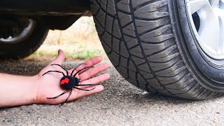Experiment Car Vs Big Spider Crushing Crunchy & Soft Things By Car
