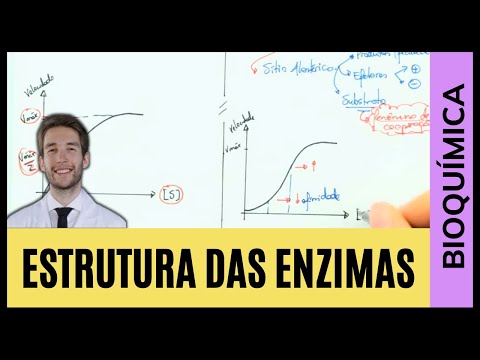 Vídeo: De que é composta uma holoenzima?