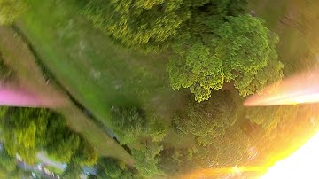 DJI FPV - Beginner Tree Proximity Practice