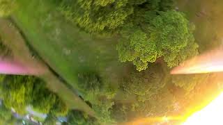 DJI FPV - Beginner Tree Proximity Practice