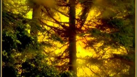 Thoughts, words and actions