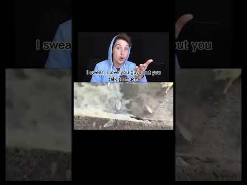 Lazar beam immortal speech