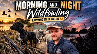 Wildfowling - it’s going to be a hard year! - Farm & Sheep in between. 
