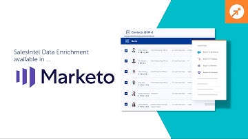 Data Enrichment Now Available for Marketo!