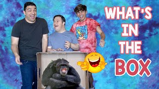 WHAT'S IN THE BOX CHALLENGE WITH AYDEN MEKUS