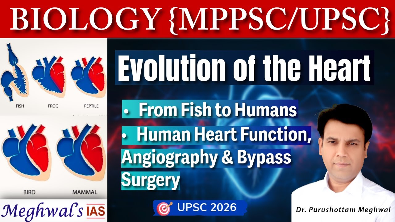 Evolution of the Heart: From Fish to Humans | Human Heart Function & Angiography | UPSC