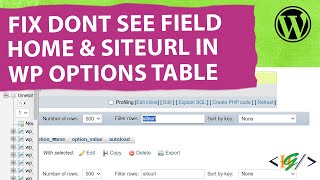 How to Fix Siteurl and Home not Show in wp_options Table in PhpMyAdmin in WordPress | Find &amp; Search