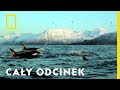 Wrogi świat: Oceany - Cały odcinek 🌊