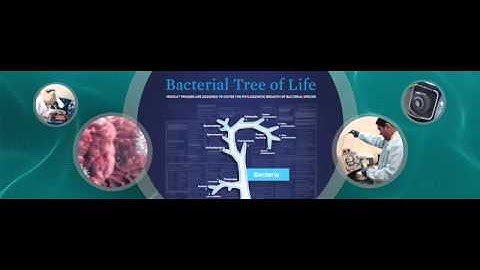 Rangarajan Sampath Volwiler Induction Video