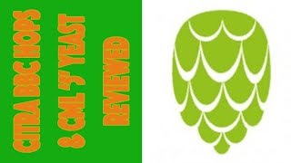 Citra BBC Hops & Crossmyloof '5' Yeast Reviewed