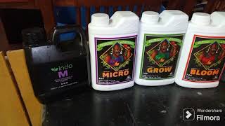 mixing advanced nutrients PH PERFECT technology nutrients! the right way! indoor basement grow 🪴🪴🪴🪴