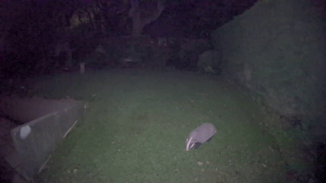 Arlo Pro 3 - Colour night vision test