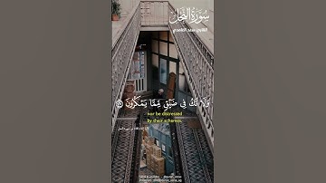 واصبر وما صبرك الا بالله 😍#فارس عباد#quran#سورة الكهف #نور القرأن #تلاوة خاشعة #تلاوة مؤثرة #fypシ #