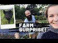 Our Mini Pig Wasn’t What We Thought + A Turkey Surprise!