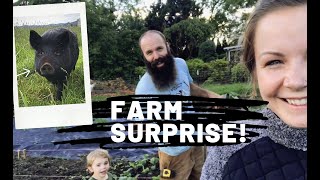 Our Mini Pig Wasn’t What We Thought + A Turkey Surprise!