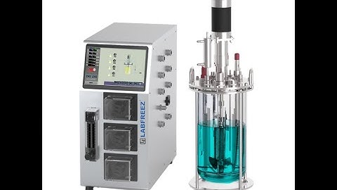 BIOF series glass bioreactor fermenter