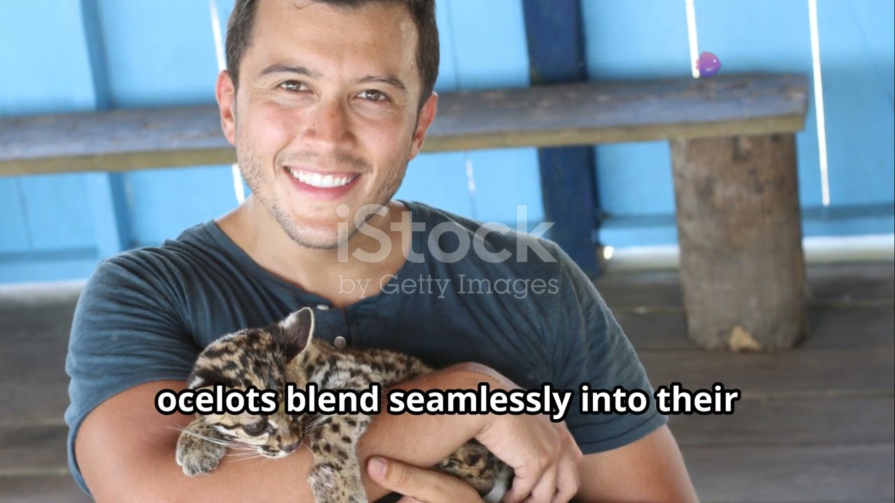 Guatemala's Jungle Giants: Land Animals You Need to Know 