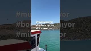 Sata Sata Bitiremedikleri Ülkemiz Yakarak Yok Etmeye Devam Ediliyor.. Ğla