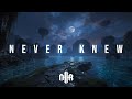 Never Knew – Emotional EDM About Letting Go Without Closure | Next Track Reign