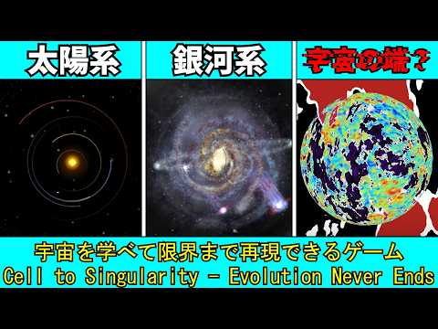 What the BLEEP Do we Know!? 超次元の成功法則 超次元の成功法則~私たちは一体全体何を知っているというの!?~ DVD