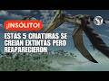 5 Especies que se Creían Extintas