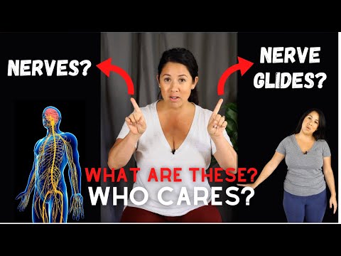 What Are Nerves and Nerve Glides?