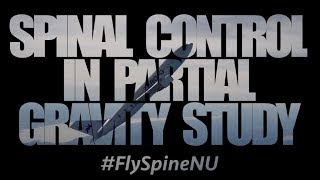 Spinal control in partial gravity study - Part 3 - parabolic flights explained