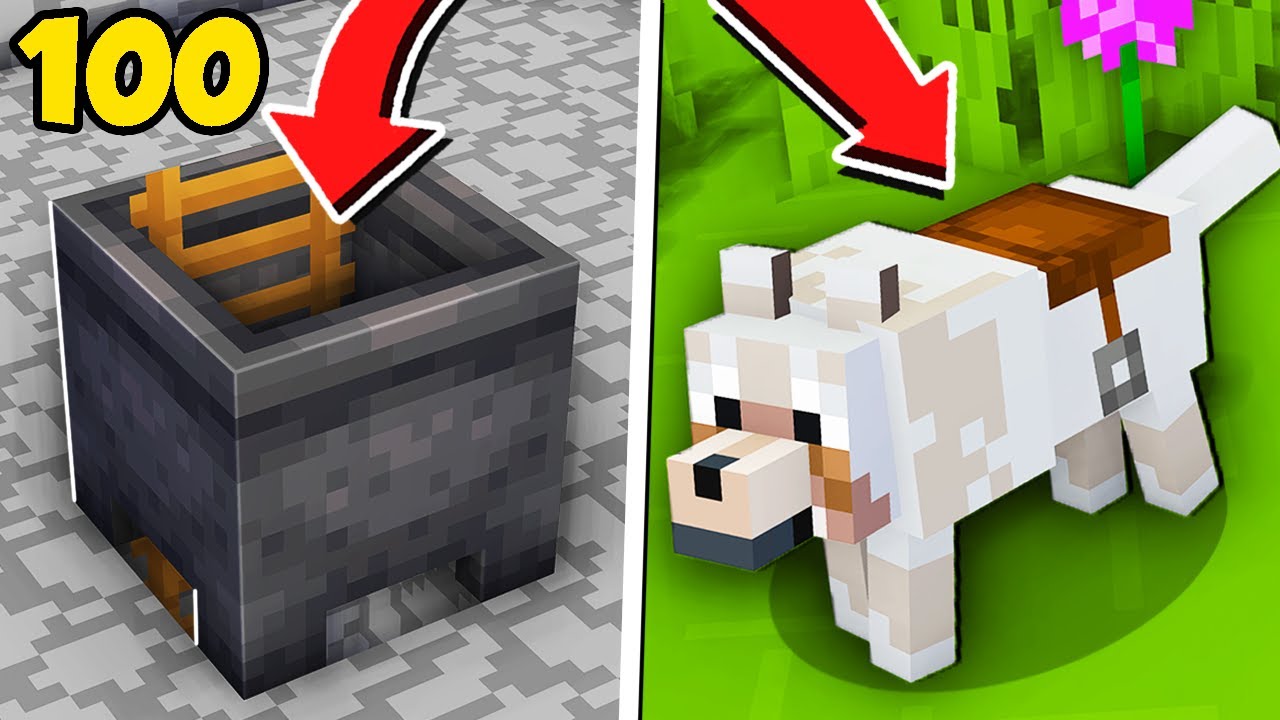 Minecraft, mas 4 fatos sobre o Geleia!