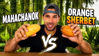 Mahachanok Mango Vs Orange Sherbet Mango : Taste Test Battle 